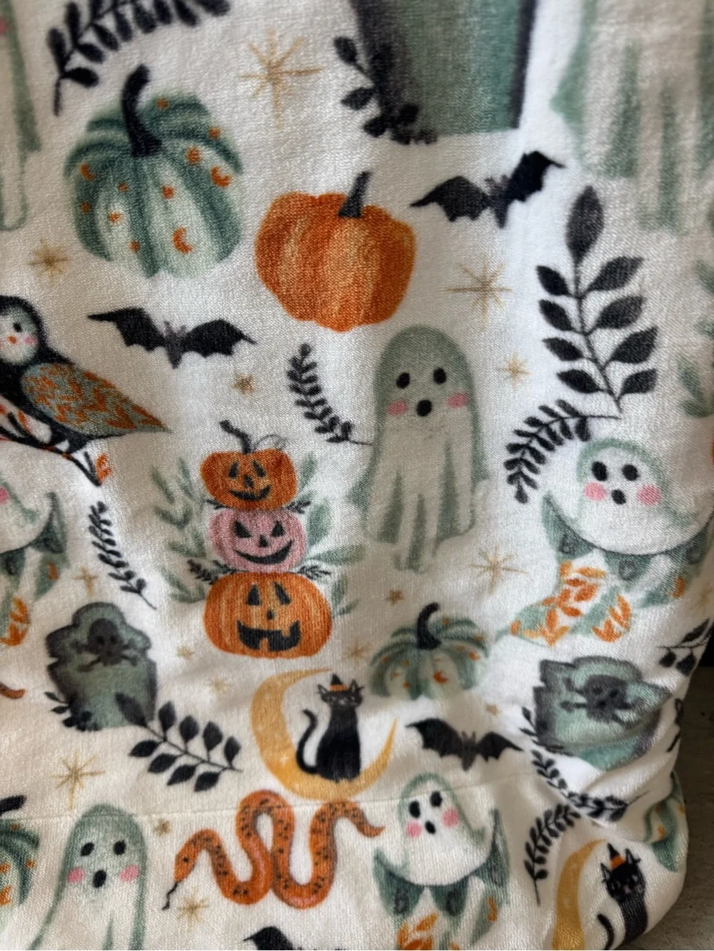 Cupcake & Cashmere Halloween Throw Blanket Pumpkins Cats Snakes Ghosts Moon NWT